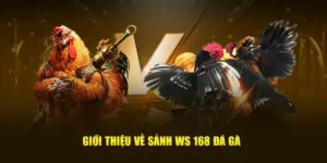 Cách Chơi Đá Gà WS168 Trực Tuyến Đầy Đủ Tại M88