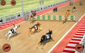 Cách Chơi Game Nhanh Đua Chó Trực Tuyến Tại M88 Hiệu Quả